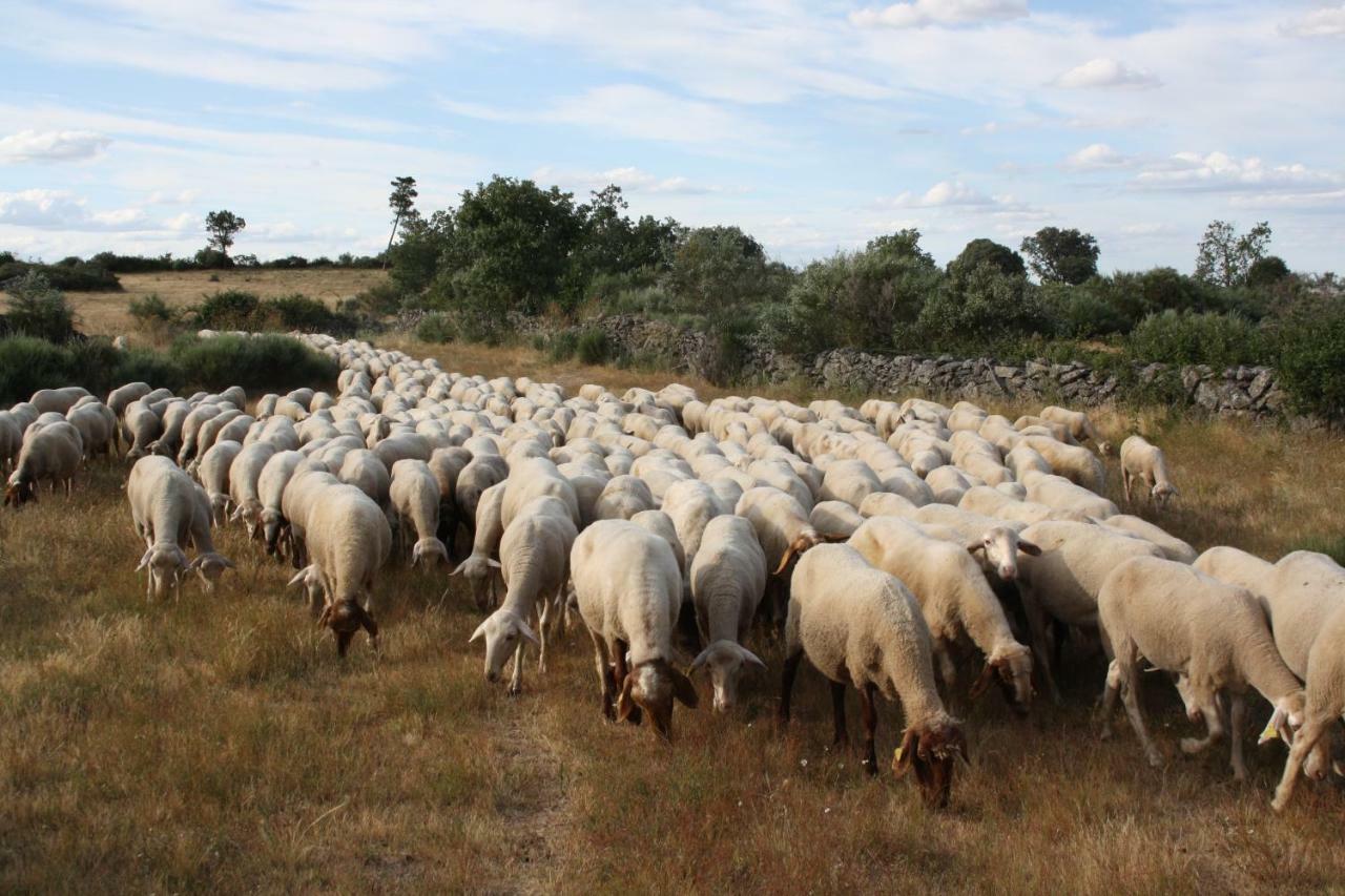 Casa Rural Mimbrero Aldeadávila de la Ribera Zewnętrze zdjęcie